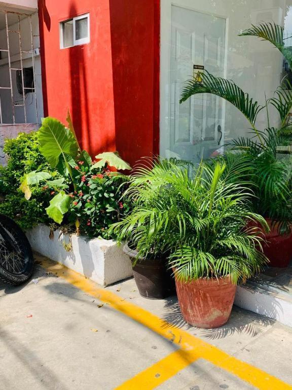Hotel Bellamar Cartagena Dış mekan fotoğraf